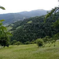 زمین-ییلاقی