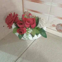 ظرف|ظروف سرو و پذیرایی|ارومیه, |دیوار