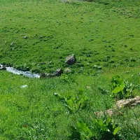 باغ