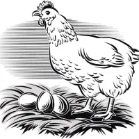 استخدام کارگر فنی