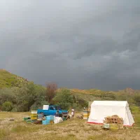 نیسان زامیاد گازسوز|خودرو سواری و وانت|یاسوج, |دیوار