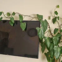 تلویزیون ۵۰ اینچ صفحه نمایش شکسته