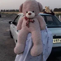 خرس بزرگ تمیز