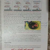 جزوه زیست کنکور۱۴۰۴ دوازدهم