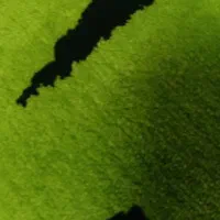 موکت سبز چمنی عرض۴  طول ۱۵
