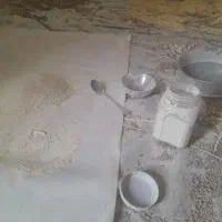 نخل گرده نخل