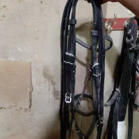 زین و تجهیزات جانبی استفاده نشده اکبند|اسب و تجهیزات اسبسواری|گلپایگان, |دیوار