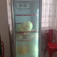 حراج لوازم منزل|حراج|چالوس, |دیوار