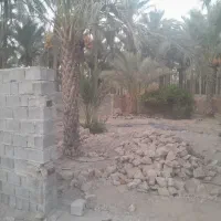 ۲۶۰متر زمین دیوار کشی مافی آباد|مصالح و تجهیزات ساختمان|خشت, |دیوار