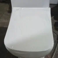 فرنگی گلوریا