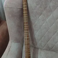 سه تار نوع به شرط|سازهای سنتی|تویسرکان, |دیوار