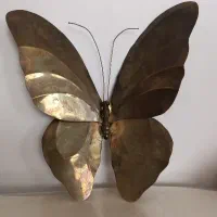 دو عدد پروانه برنز