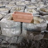 تولید جاسبزه|عمده‌فروشی|لالجین, |دیوار