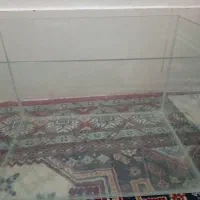 یک آکواریوم بزرگ سالم