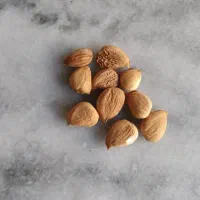 هسته زردآلو شیرین|خوردنی و آشامیدنی|تهران, امام زاده عبدالله|دیوار