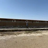 مرغداری ۲۳هزاری|فروش دفتر صنعتی، کشاورزی، تجاری|ششتمد, |دیوار