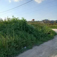 زمین ۶۰ متری در حبیب زاده|فروش زمین و ملک کلنگی|رشت, پل تالشان|دیوار
