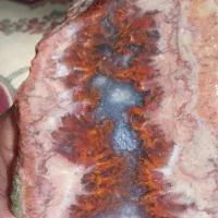 سنگ شجر دریایی شعله ای