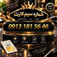 0913-181-5646