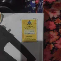 یک هم زن درحدنوبیستمارک