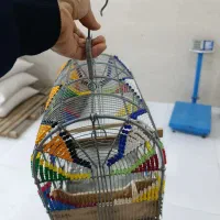 قفس|لوازم جانبی حیوانات|آستارا, |دیوار