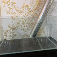 آکواریوم سالم و تمیز