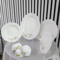 فروش انواع ظروف غذا خوری