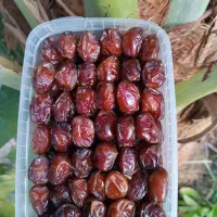 خرمای خاصویی . هلیله درجه یک|خوردنی و آشامیدنی|زرین دشت (فارس), |دیوار