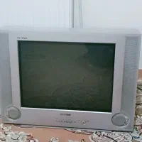 تلویزیون