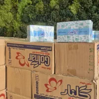 فروش ویژه انواع شوینده و صابون کف قیمت