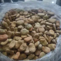 فروش باقله خشک درجه یک