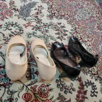 کفش مجلسی زنانه
