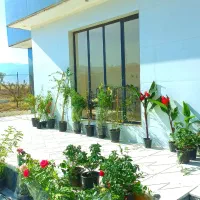 چهار دیوار مناسب ویلا باغ موقعیت خوب