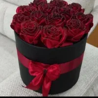 ماندگار در رنگهای مختلف|حراج|رشت, توشیبا|دیوار