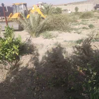 باغ انجیر نو نهال|فروش زمین و ملک کلنگی|شیراز, گلکوب|دیوار