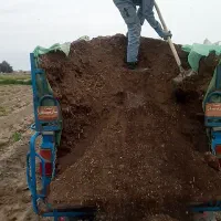 کود مرغی درجه یک|خدمات باغبانی و درختکاری|جیرفت, |دیوار