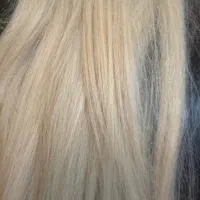 مو بلوند ۸۵ سانت|آرایشی، بهداشتی، درمانی|تهران, چیذر|دیوار