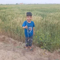 فروش زمین