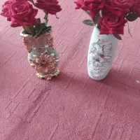 گل رز همراه گلدان رایگان