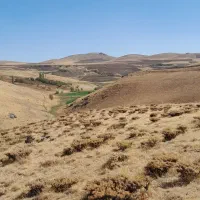 کاه دیواندره