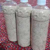 دانه دارویی