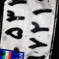 گمشده پلاک
