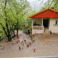 ویلا اجاره ای در دل طعبیت با مبلغ شبی ۵۰۰ تمیز