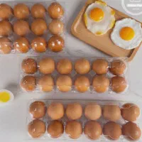 ظروف بسته بندی یکبار مصرف تخم مرغ