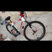 دوچرخه سایز 26 اسکاتریا فراری|دوچرخه، اسکیت، اسکوتر|اسکو, |دیوار