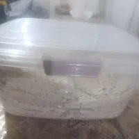 تعدادی سطل مخصوص ترشیجات بدرد نون هم میخوره