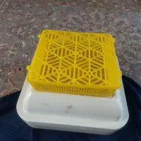 دستگاه جوجه کشی