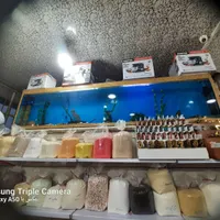 آکواریوم ۳ متری با همه تجهیزات|ماهی|تاکستان, |دیوار