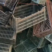 سبد|عمدهفروشی|اردبیل, |دیوار