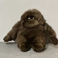 عروسک خارجی